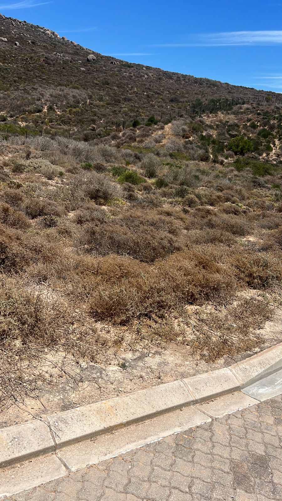 Commercial Property for Sale in St Helena Views Western Cape